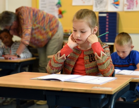 Descubra os nossos cursos In School